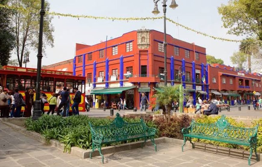 Sabor a Coyoacán: Eat Like a Local