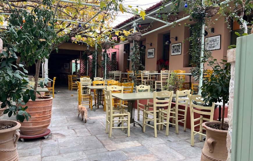 Authentic Greek Food Experience – Athens Suburbs