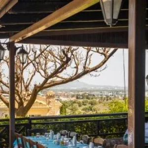 Authentic Greek Food Experience – Athens Suburbs