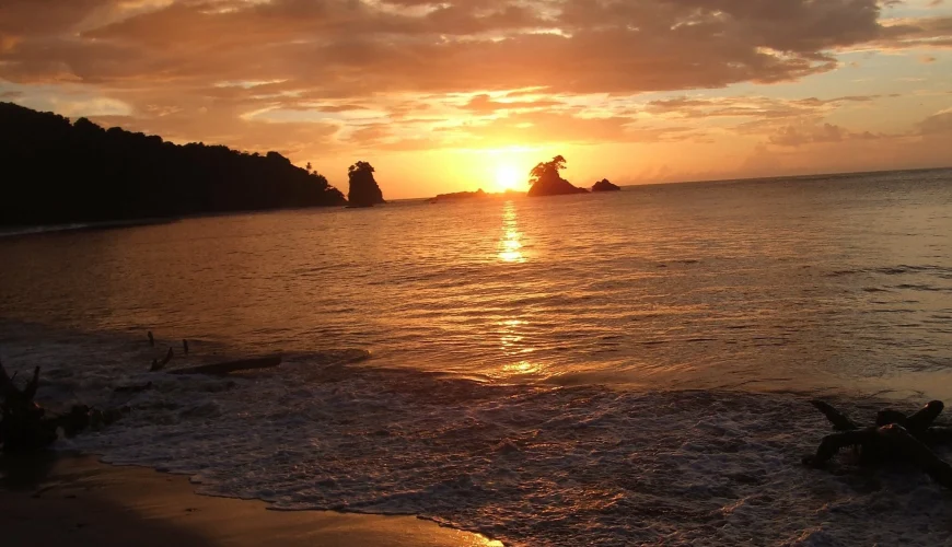 Writing Under the Moonlight (Beachside Edition)