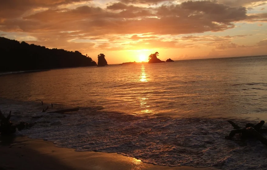 Writing Under the Moonlight (Beachside Edition)