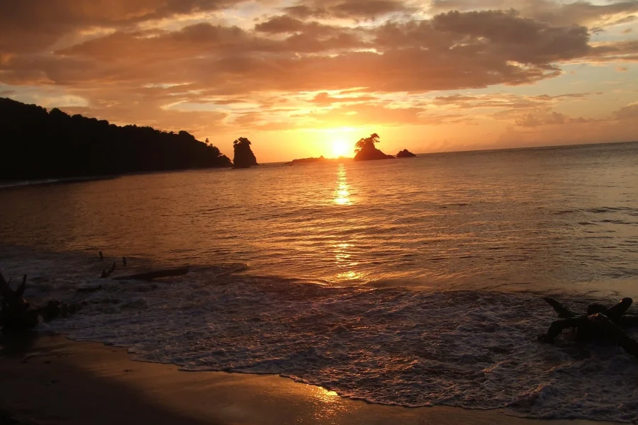 Writing Under the Moonlight (Beachside Edition)