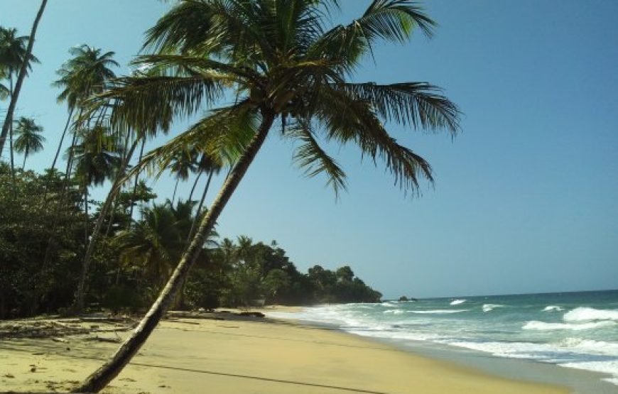 Writing Under the Moonlight (Beachside Edition)