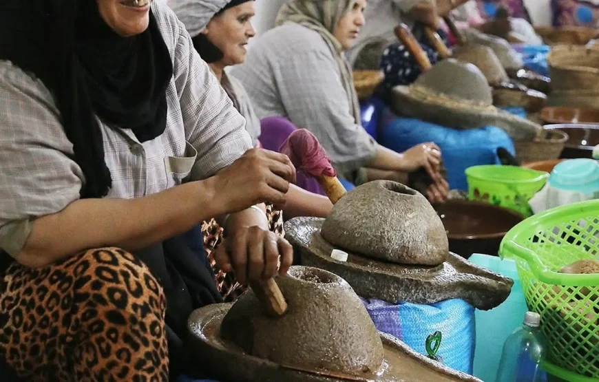 From Marrakech: Small Group Day Trip to Essaouira and Sekkala