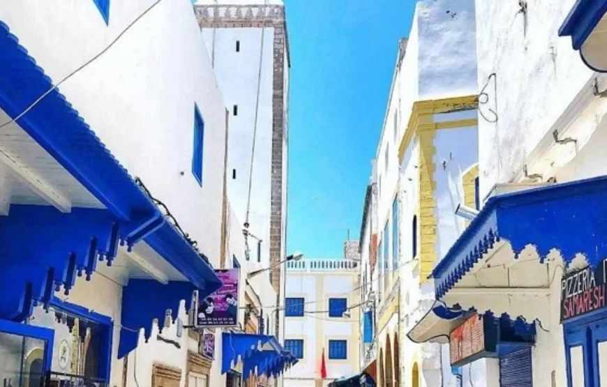 From Marrakech: Small Group Day Trip to Essaouira and Sekkala