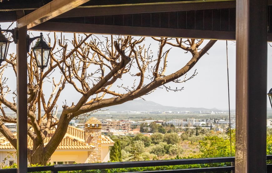 Athens Airport transfer & Food Experience