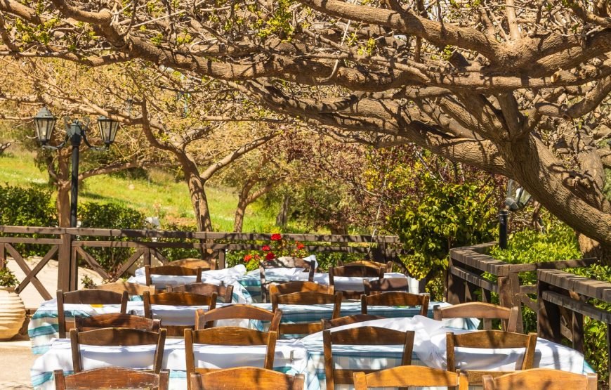 Authentic Greek Food Experience – Athens Suburbs