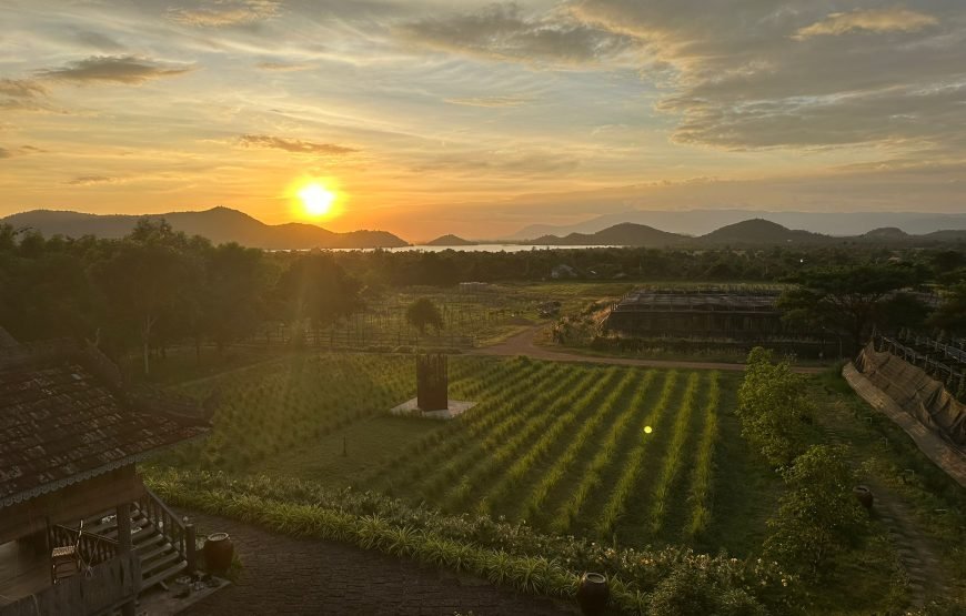 La Plantation, Enjoy Testing and Tour