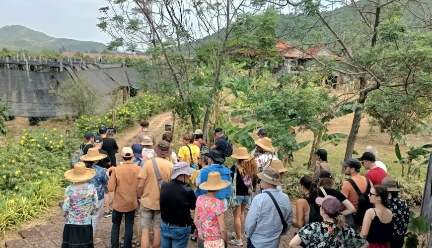 Countryside Tour Include Pepper Farm and Kep (Crab Market)