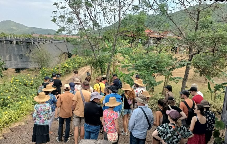 La Plantation, Enjoy Testing and Tour