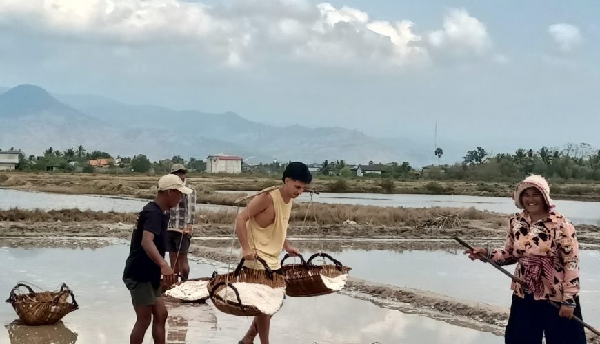 La Plantation, Enjoy Testing and Tour