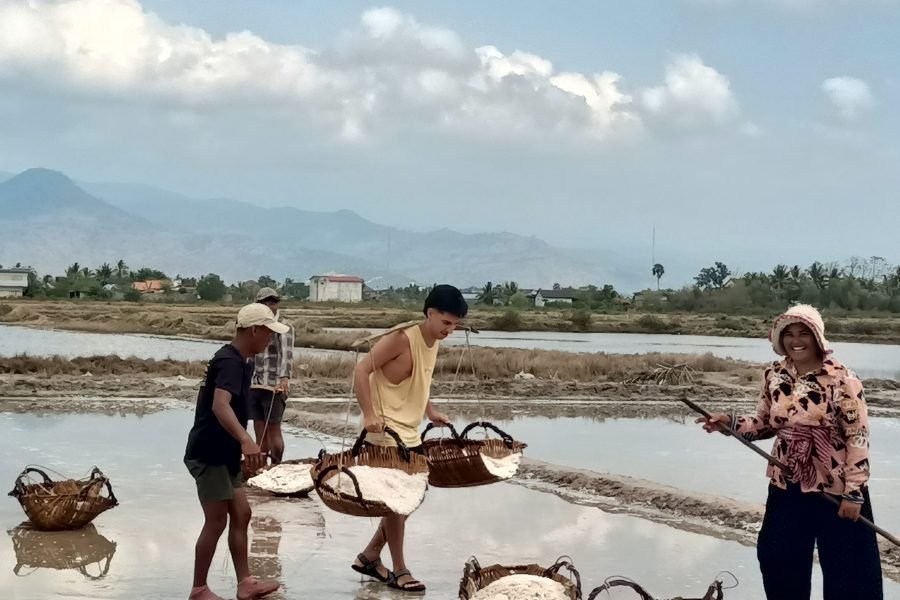 La Plantation, Enjoy Testing and Tour