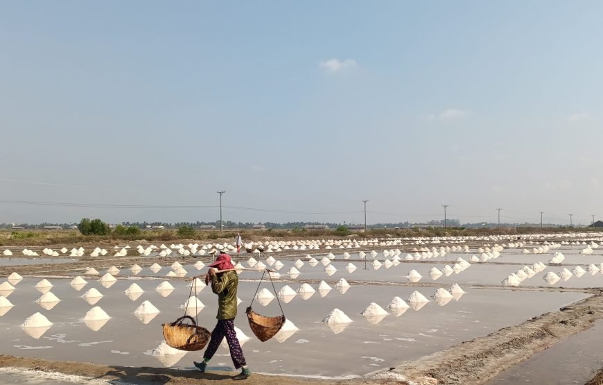 La Plantation, Enjoy Testing and Tour