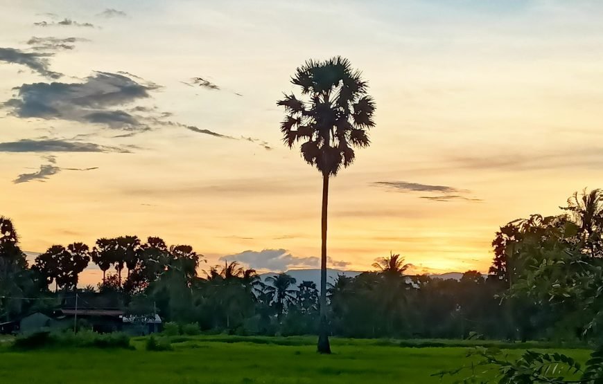 Countryside Tour Include Pepper Farm and Kep (Crab Market)