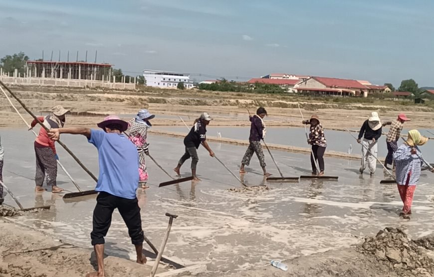 Kayak Trip Around Green Cathedral & Countryside Tour Include Pepper Farm