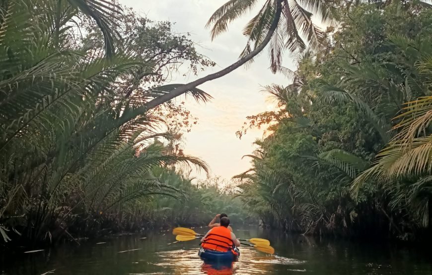Kayak Trip Around Green Cathedral, Sunset, Swim