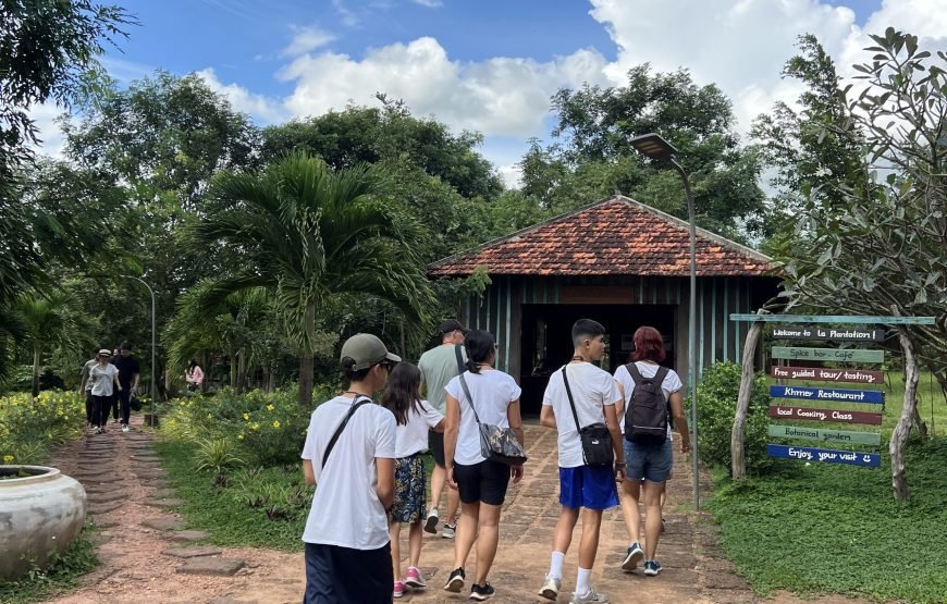 La Plantation, Enjoy Testing and Tour