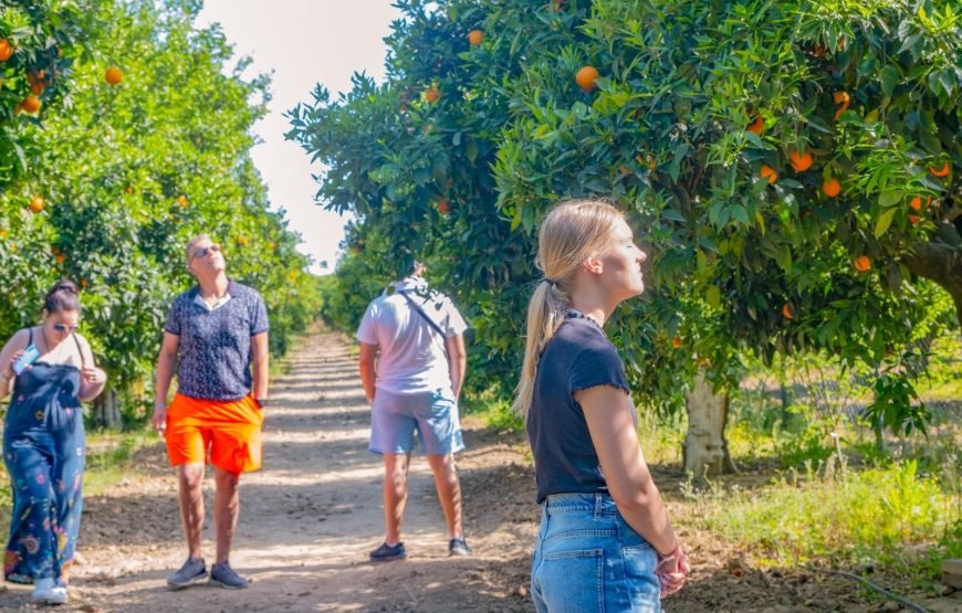 Side: Mix Tour Discover City 8 in 1