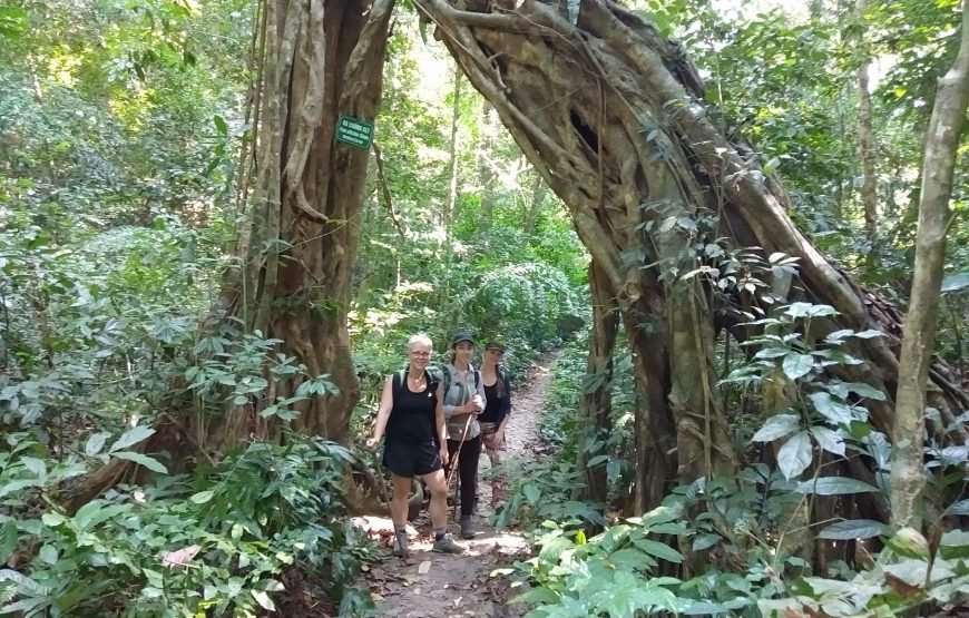 Ha Noi/ Cat Ba island: 2 Day with Trekking and Cruising