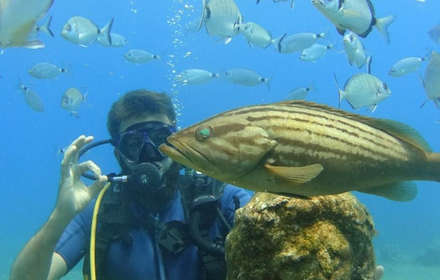 Side: Undersea Museum Diving Tour
