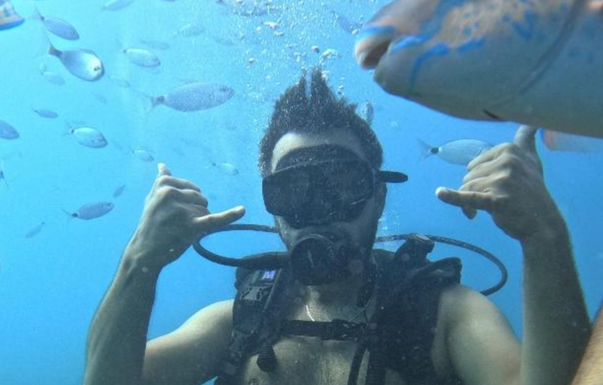 Side: Undersea Museum Diving Tour