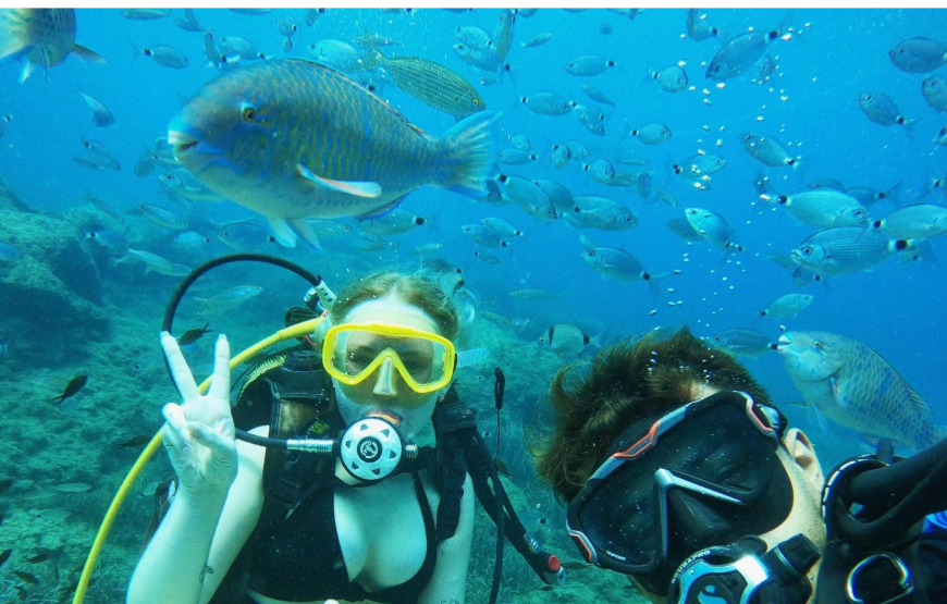 Side: Undersea Museum Diving Tour