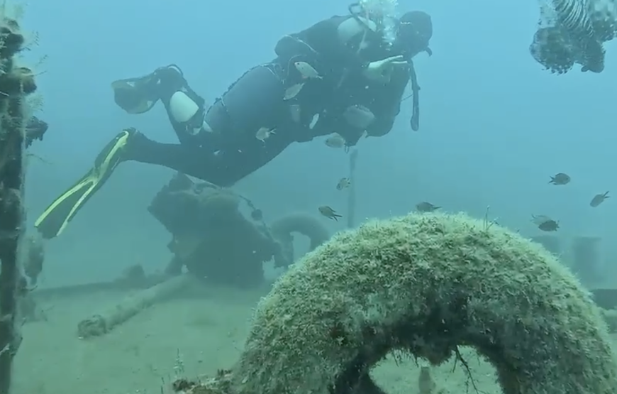 Side: Undersea Museum Diving Tour