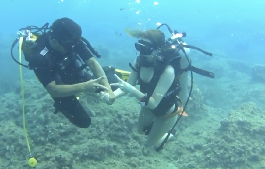 Side: Undersea Museum Diving Tour