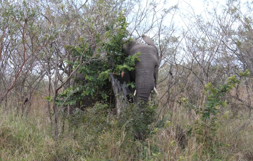 Zula Kruger Panorama 4 Day Tour