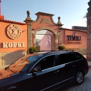 Private Transfer Porto ⇄ Lisbon with Exclusive Stops