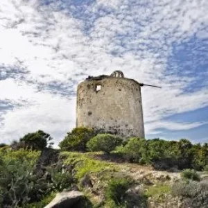 Discover Santorini’s Hidden Paths – 4-Hour Private Tour