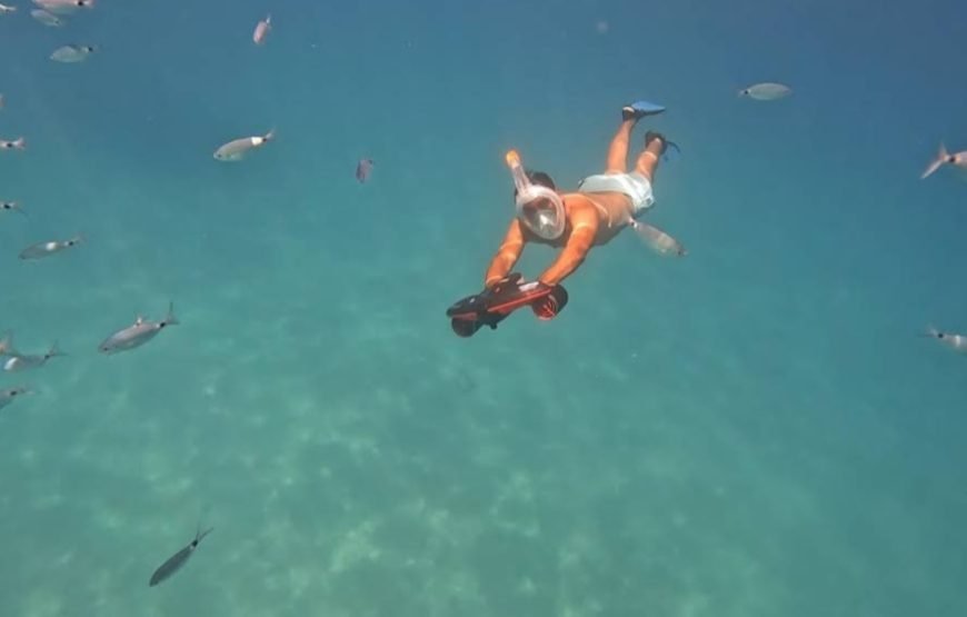 Eco-Friendly Solar Catamaran Tour in Mallorca – E-Sea Experience