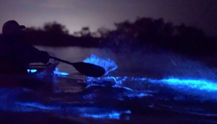 Ha Noi/ Cat Ba Island: 2 Days With Plankton Excursion And Cruise