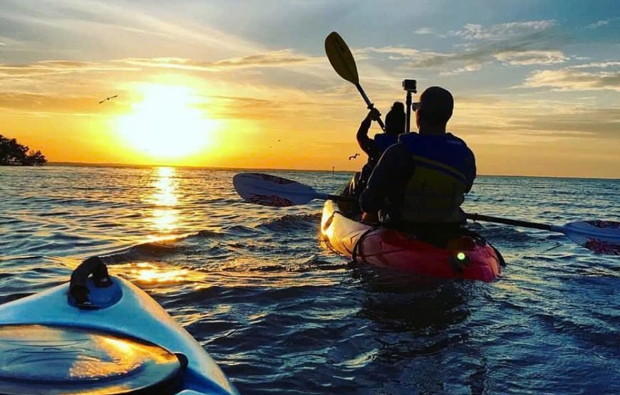 Ha Noi/ Cat Ba Island: 2 Days With Plankton Excursion And Cruise