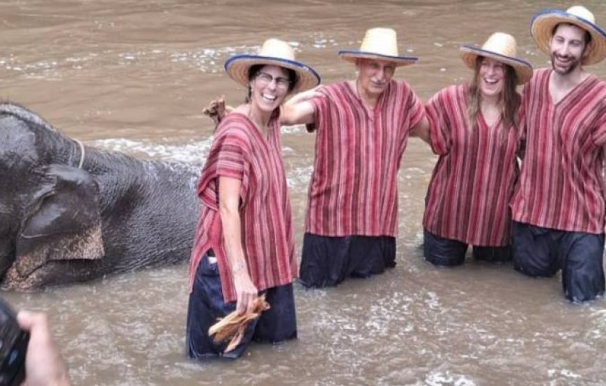 Chiang Mai Elephant Sanctuary & Sticky Waterfall Tour