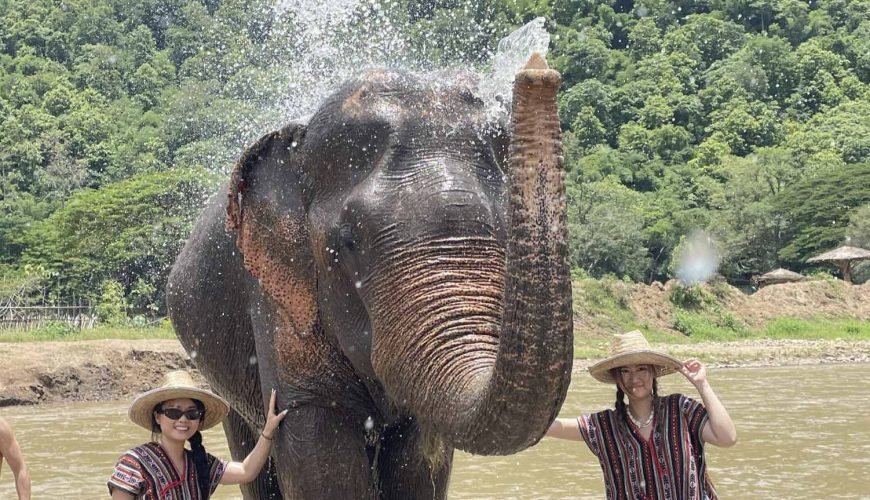 Chiang Mai Elephant Sanctuary & Sticky Waterfall Tour