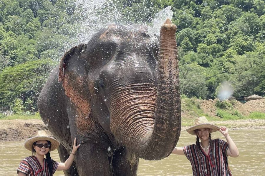Chiang Mai Elephant Sanctuary & Sticky Waterfall Tour