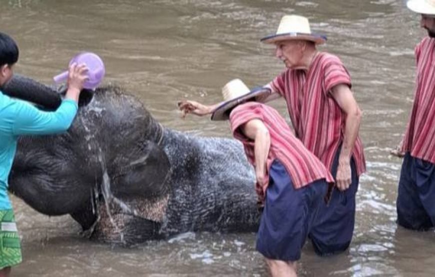 Chiang Mai Elephant Sanctuary & Sticky Waterfall Tour