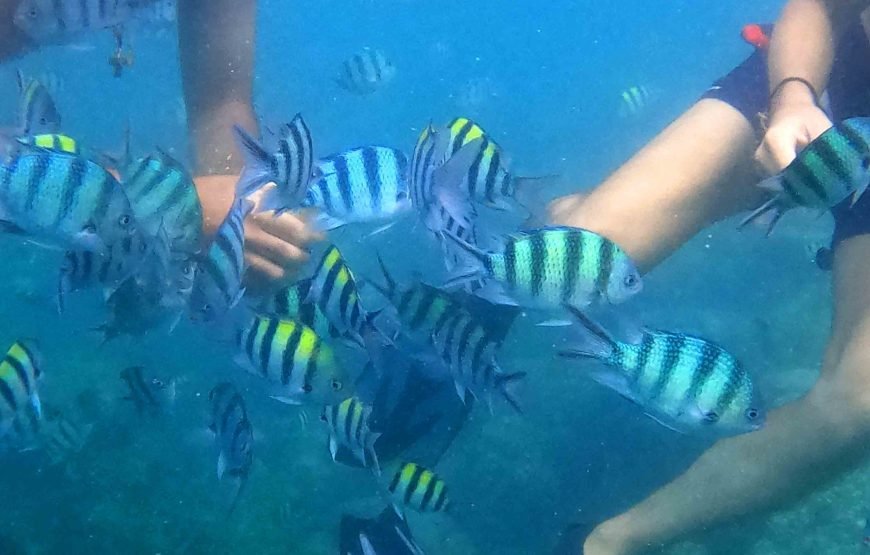 Lombok Private Snorkeling Tour to a Secret Island