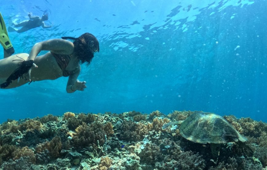 Lombok Car Hire With Driver Customizable Tour