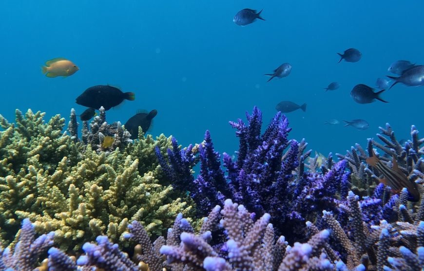 Lombok Private Snorkeling Tour to a Secret Island