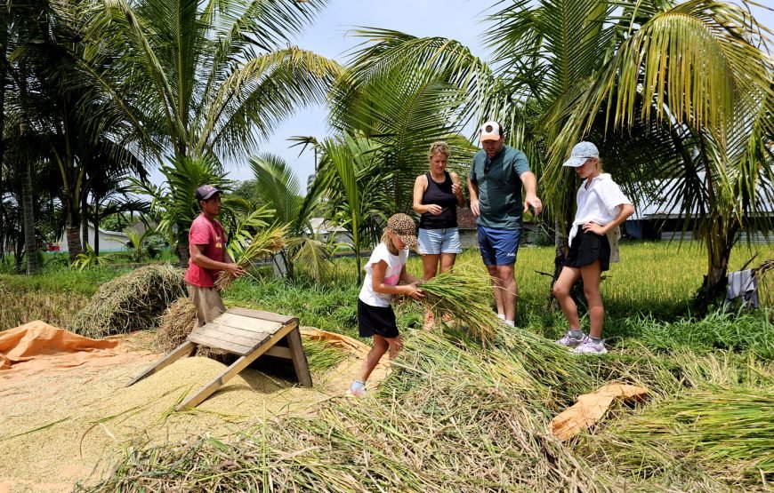 Lombok Car Hire With Driver Customizable Tour