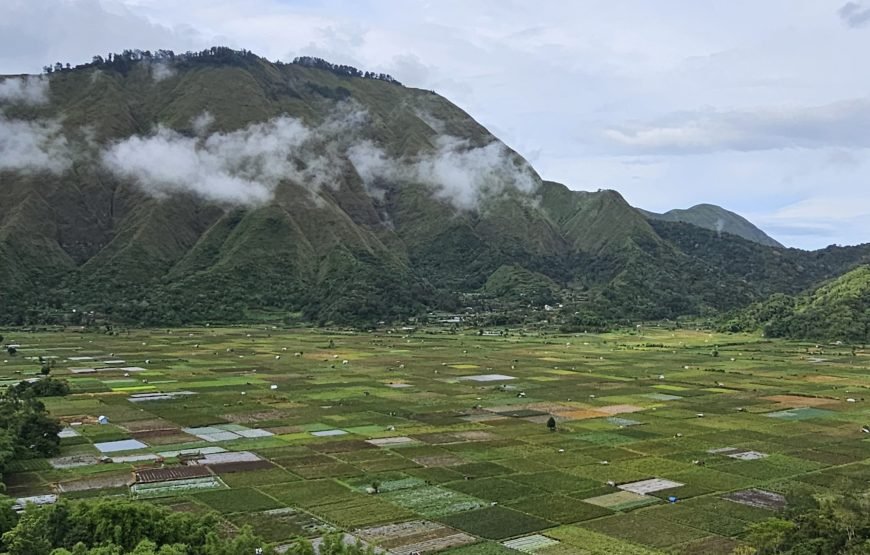 Lombok Car Hire With Driver Customizable Tour