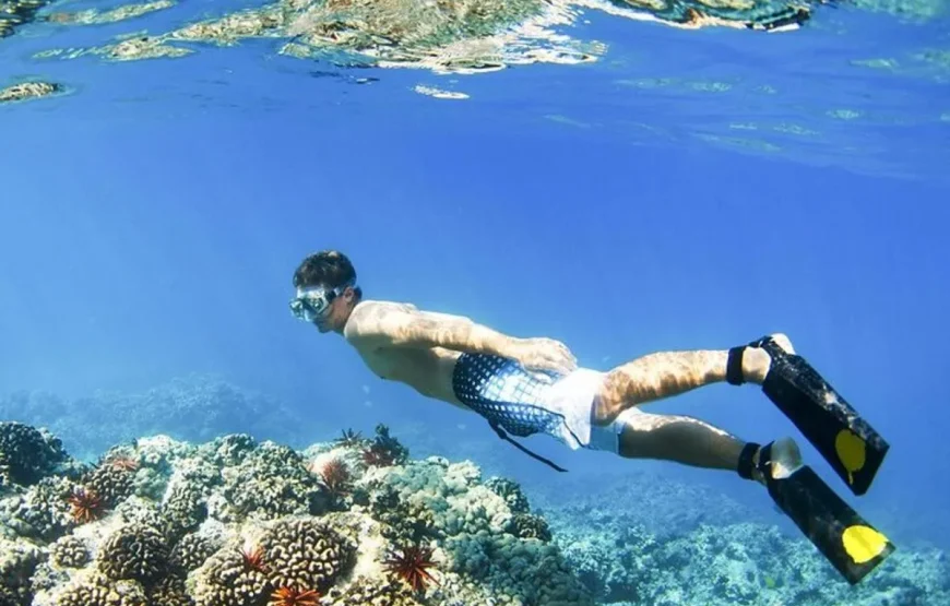 Bali Blue Lagoon Snorkeling