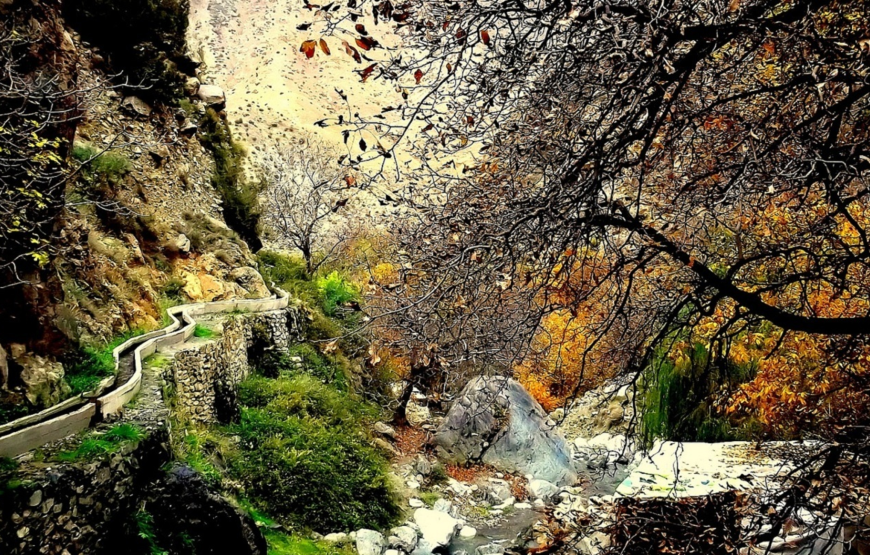 Ourika Valley And Atlas Mountains Full Day Tour With Lunch