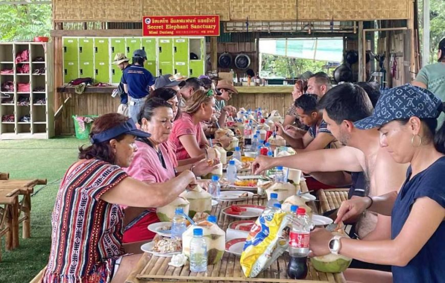 Chiang Mai Elephant Sanctuary & Sticky Waterfall Tour