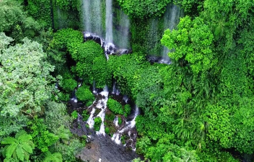 Lombok Car Hire With Driver Customizable Tour