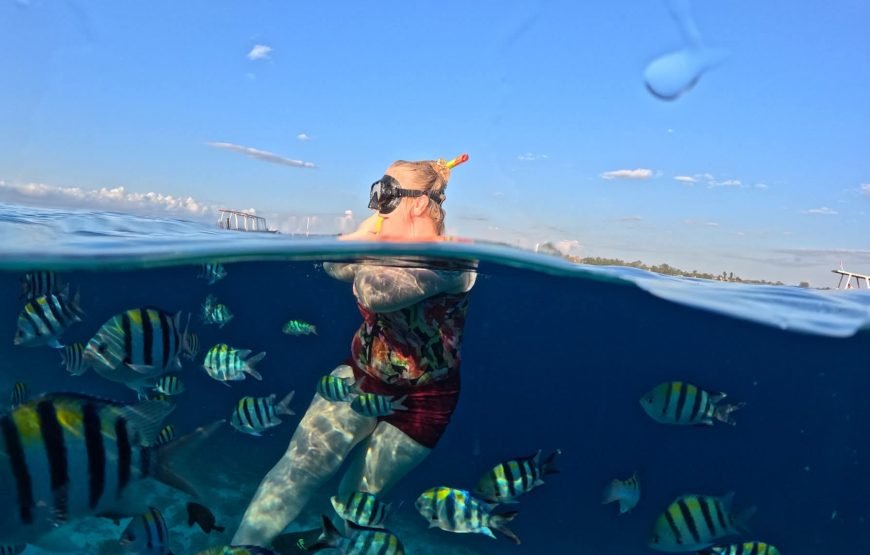 Lombok Private Snorkeling Tour to a Secret Island