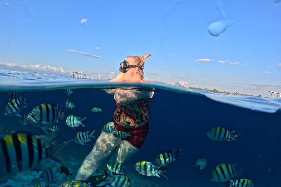 Lombok Private Snorkeling Tour to a Secret Island