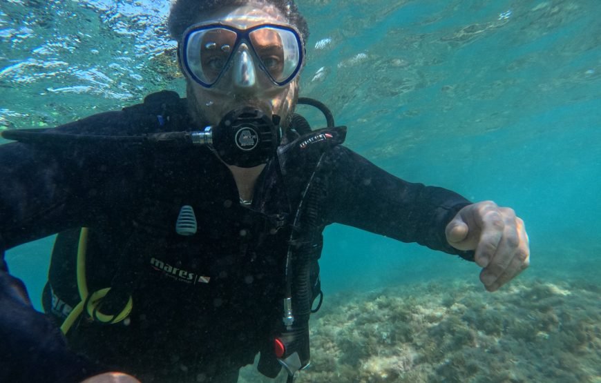 Musan: Scuba Diving
